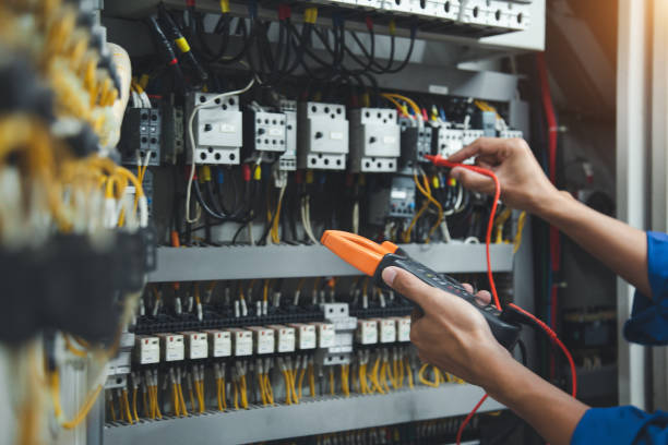 Best Electric Panel Repair  in Conehatta, MS
